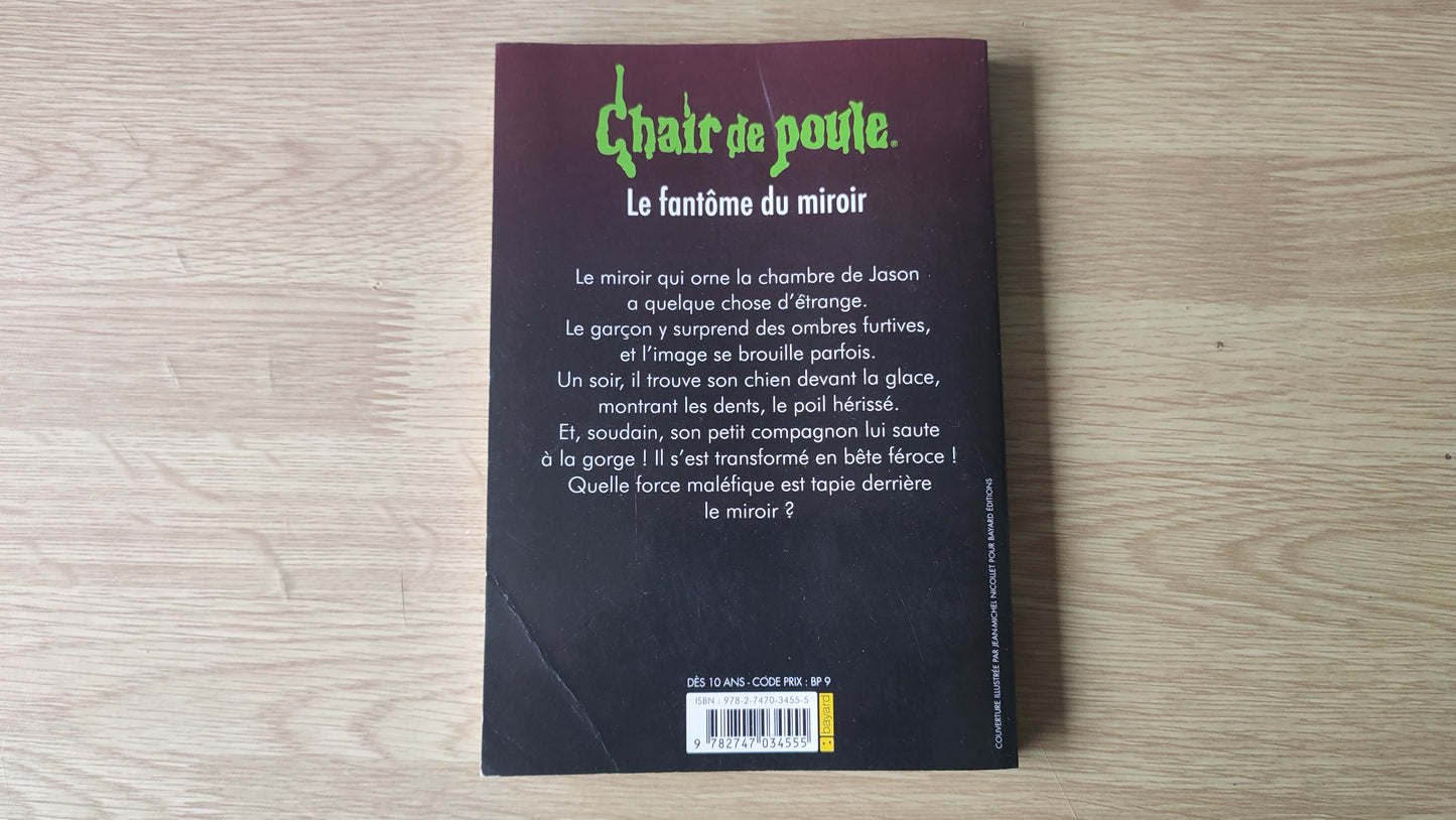 Livre Chair de poule Le fantôme du miroir R.L. Stine édition Bayard poche #SPDF