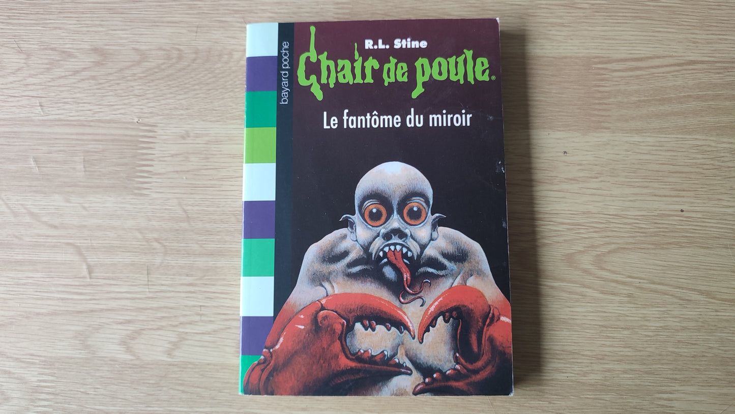 Livre Chair de poule Le fantôme du miroir R.L. Stine édition Bayard poche #SPDF